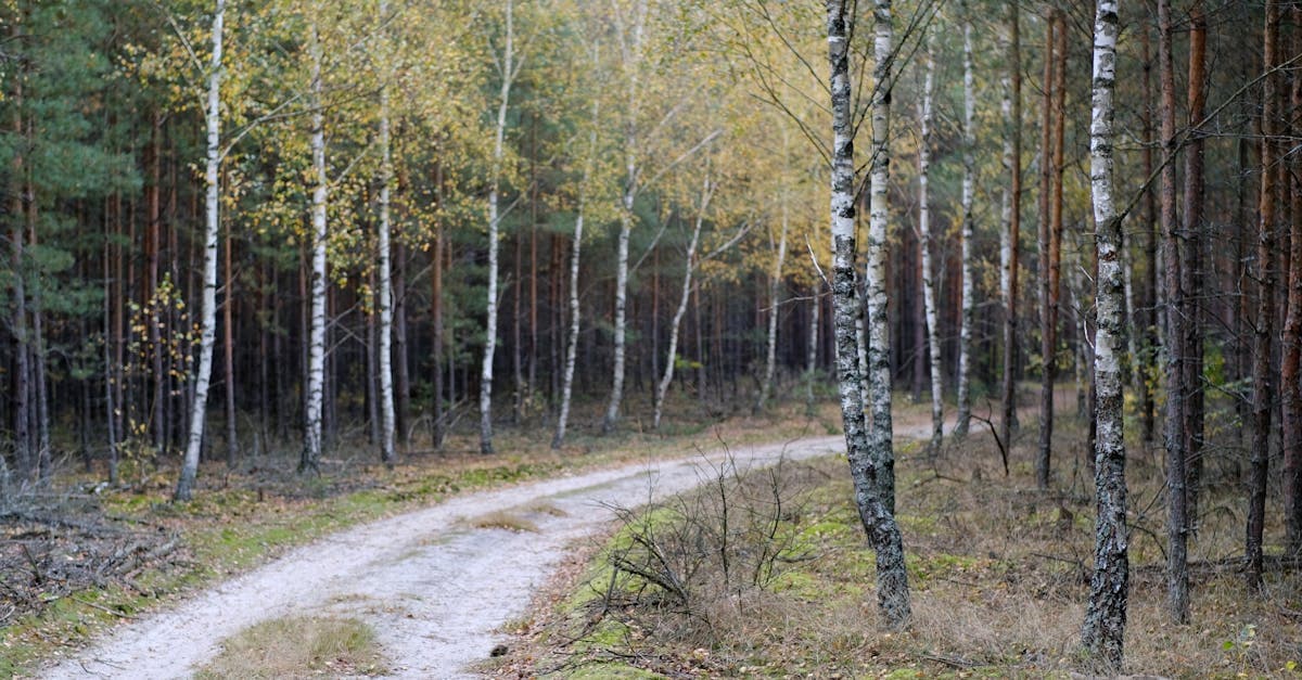 หวยดาวโจนส์ย้อนหลัง สถิติผลออกรางวัล 30 วัน | Immuslim Cultures แทงหวย