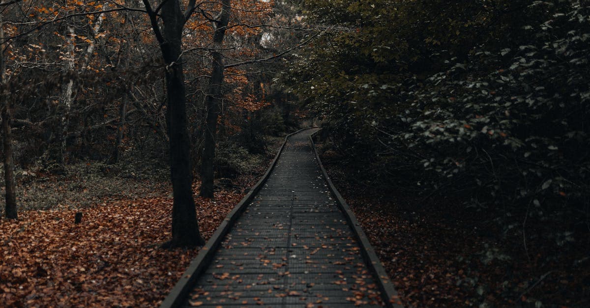 ทำนายฝัน เลขเด็ด ฝันเห็นอะไรได้เลขอะไร | Immuslim Cultures แทงหวย