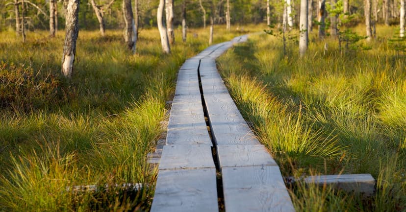 หวยฮานอย เมษายน 2569 ผลออกกี่โมง ตารางออกรางวัลครบ