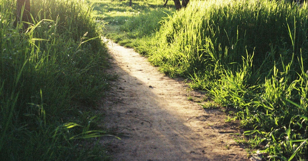 หวยยี่กี: คู่มือบริหารงบสำหรับมือใหม่ แทงหวย