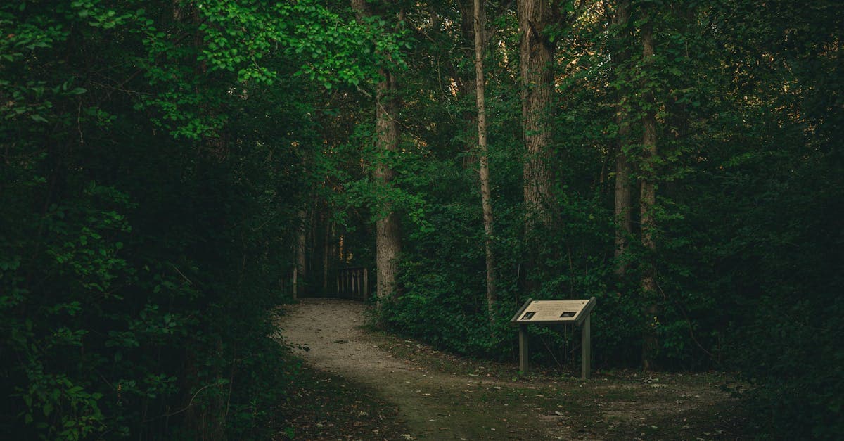 ผลหวยลาว วันนี้ล่าสุด อัปเดตทุกงวด พัฒนา สตาร์ VIP แทงหวย